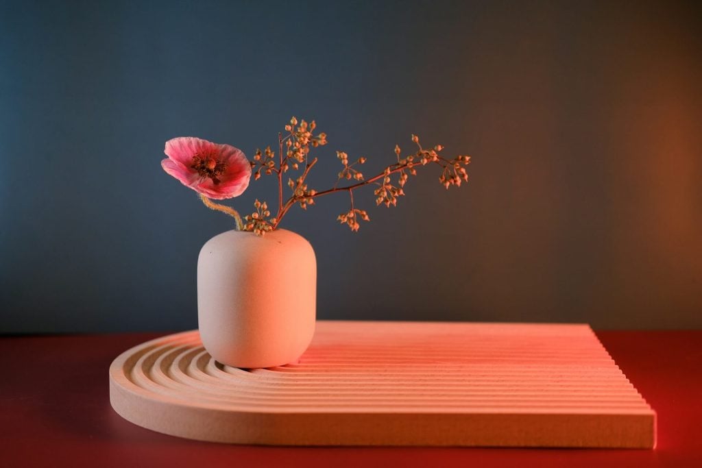 Initiation à l'Ikebana : Art Floral Traditionnel Japonais