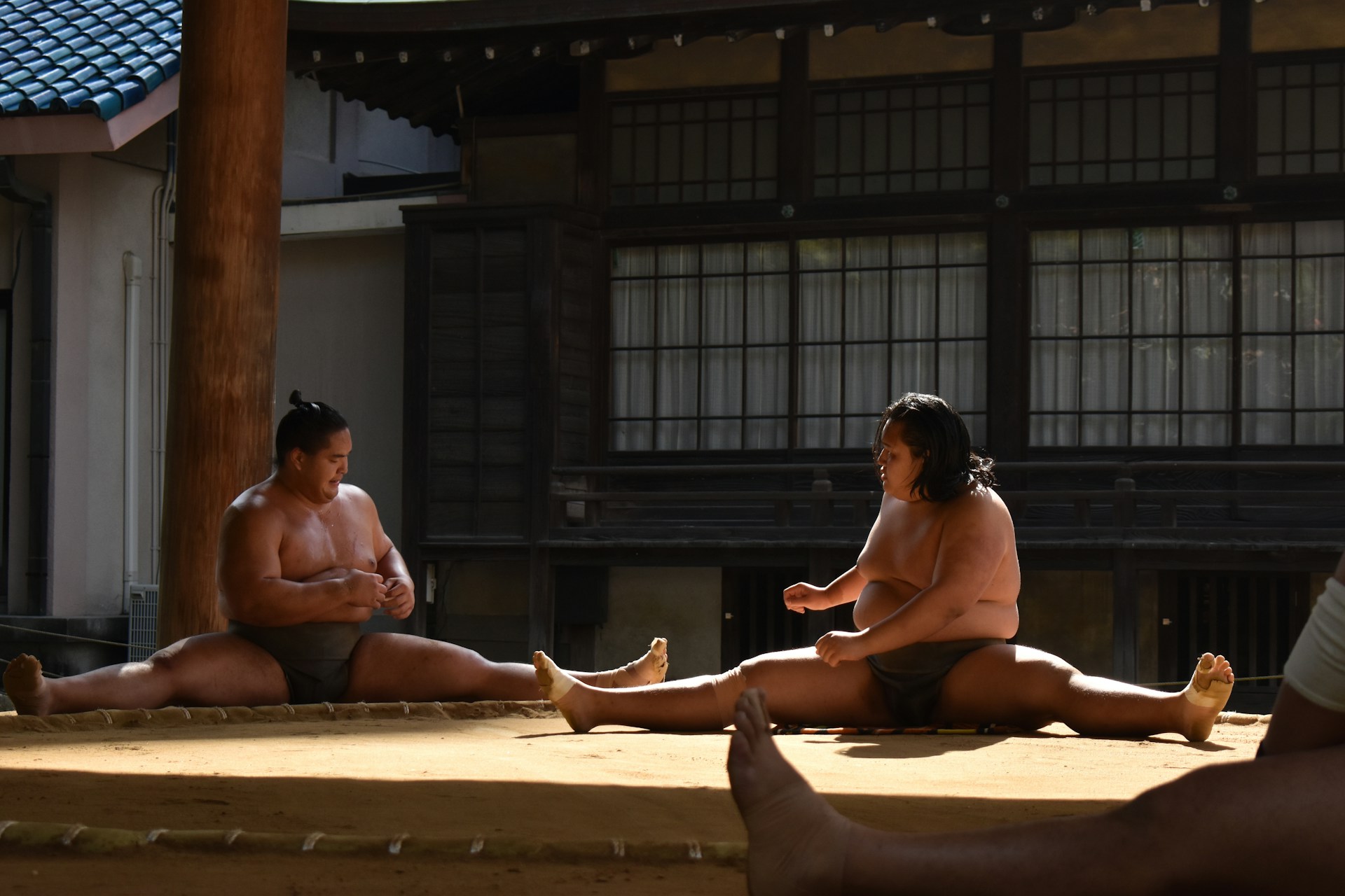 Repas-Spectacle Sumo à Tokyo : Rencontrez d'Anciens Lutteurs !